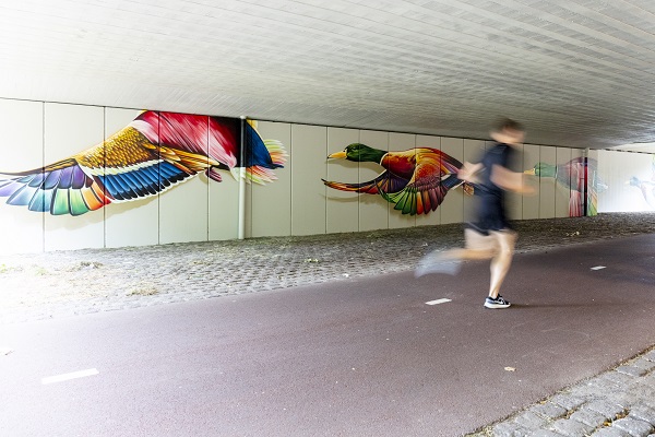 Buro_Goedwijs_Sportparkbrug - graffiti -4602 (1)